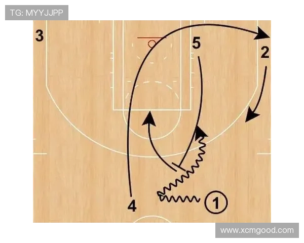 全国锦标赛分析南京篮球队意识表现与战术执行的深度解读